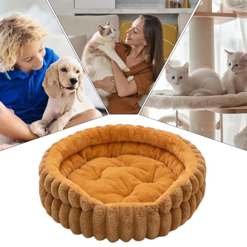 Generisch Cama pequeña para perros | Donut Cachorro Gatito Cama para gatos domésticos, almohada de felpa para perros pequeños y medianos Sala de estar Dormitorio Apartamento Casa Exterior Lavable a