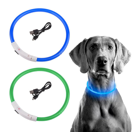 Collar Luminoso Perro,2 Piezas Collar LED Recargable por USB Tamaño Ajustable, Collar Impermeable de Seguridad, Reutilizable para Perros Pequeños Medianos Y Grandes (Verde + Azul)