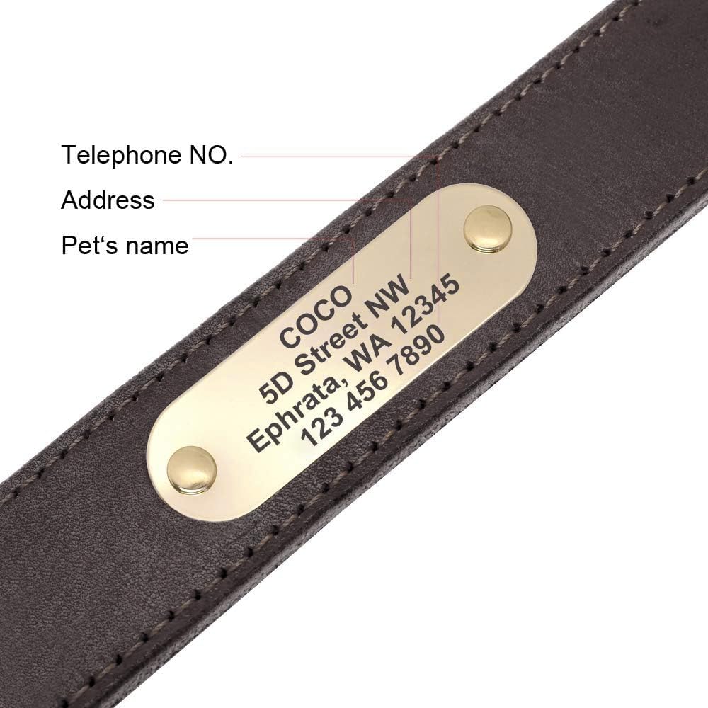 Collares para Perro de Piel auténtica con Placa de Nombre grabada, Collar de Perro de Cuero Suave Personalizado con Etiqueta de identificación Personalizada Marrón