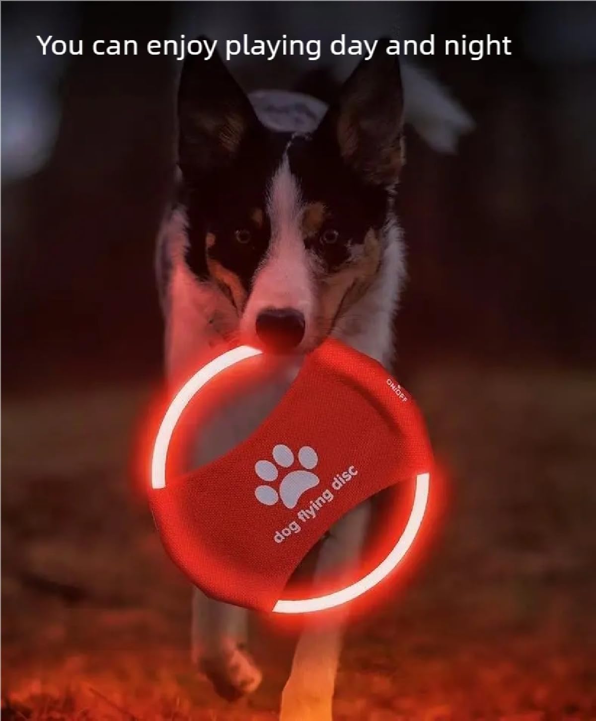 Frisbee 2 unid luminoso LED para entrenamiento de perros, TPU no tóxico, goma suave resistente a la molienda y mordeduras, rompecabezas luminoso recargable para mascotas, juguete para lanzar al