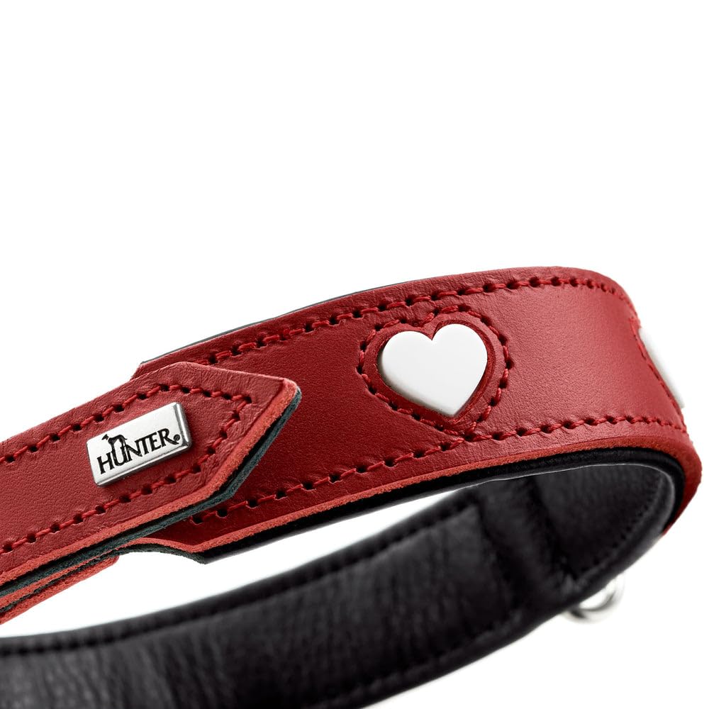 Collar para Perro Hunter Love M 41-49 cm Rojo