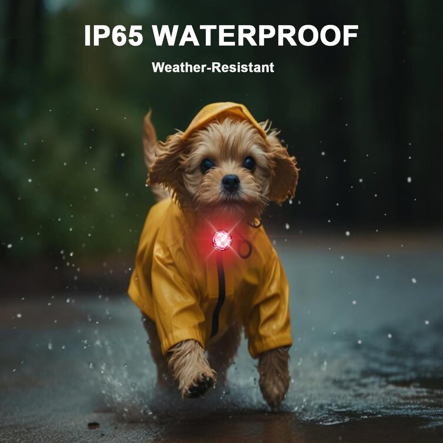 Tubasion Colgante de Luz USB-C Recargable para Collar de Perro - 7 Colores, Intermitente, Silicona, IP65 Impermeable - para Paseos Nocturnos