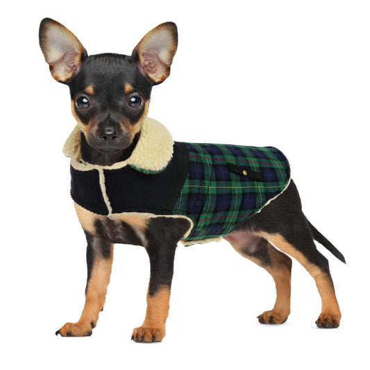 Abrigo para Perro Invierno - Chaleco Polar Grueso con Estampado Tartán, Ropa Cálida para Perros Pequeños/Medianos, Chaqueta Térmica Chihuahua o Teckel, Verde, XS