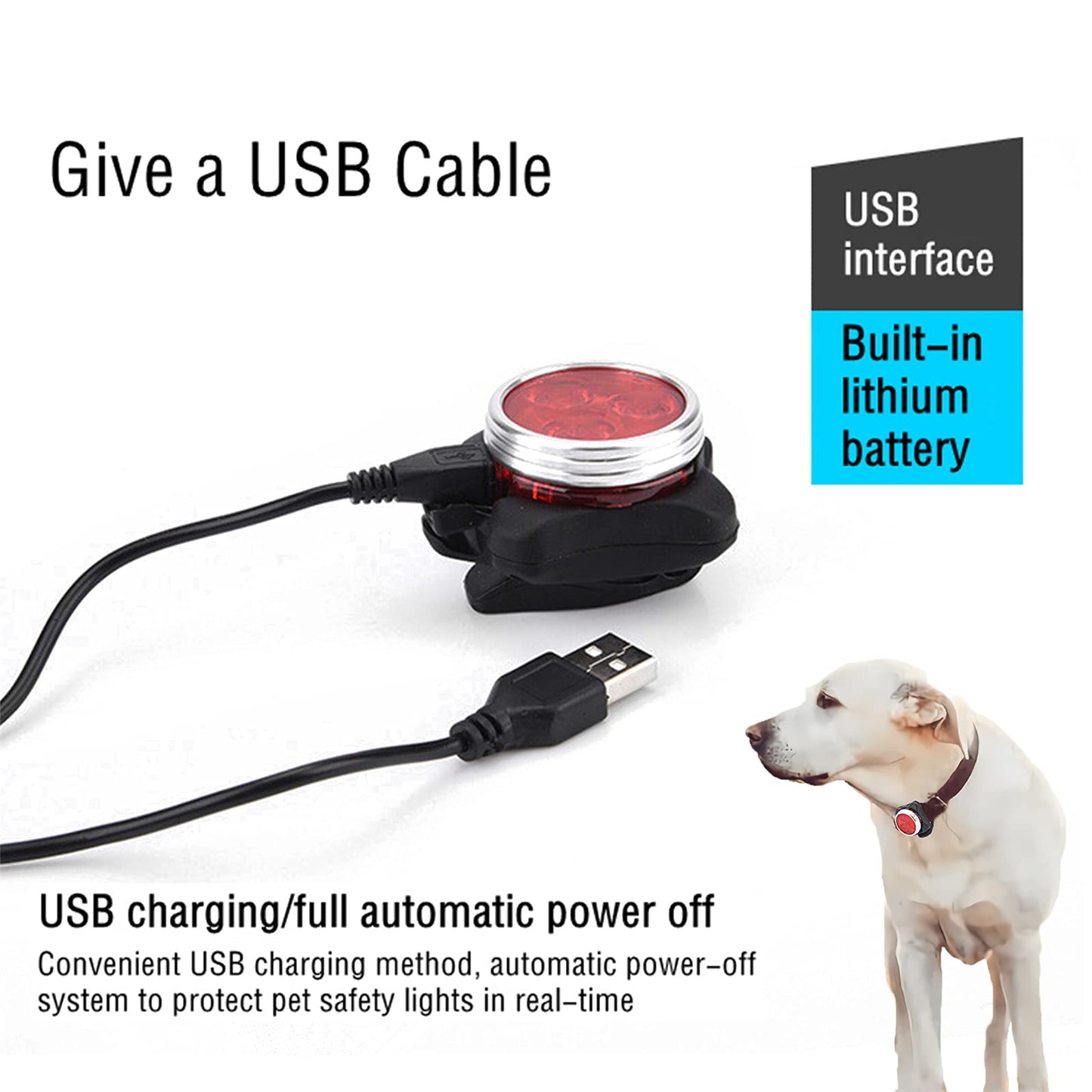 MZFANG - Collar de perro luminoso LED, colgante luminoso para perro, lámpara intermitente, luz de gato, collar de luz de seguridad, impermeable, 4 modos de parpadeo, USB, recargable, color rojo