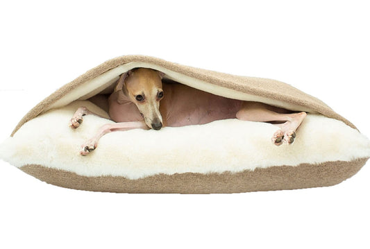 Cama Perro con Manta, Cama Ortopédica Perro/Gato con Capucha Manta, Lavable, Extraíble Sacos de Dormir del Perro para Mascotas Pequeñas y Medianas, Suave Fuzzy Cómoda Cama Perro Sofá (Color : Khaki,