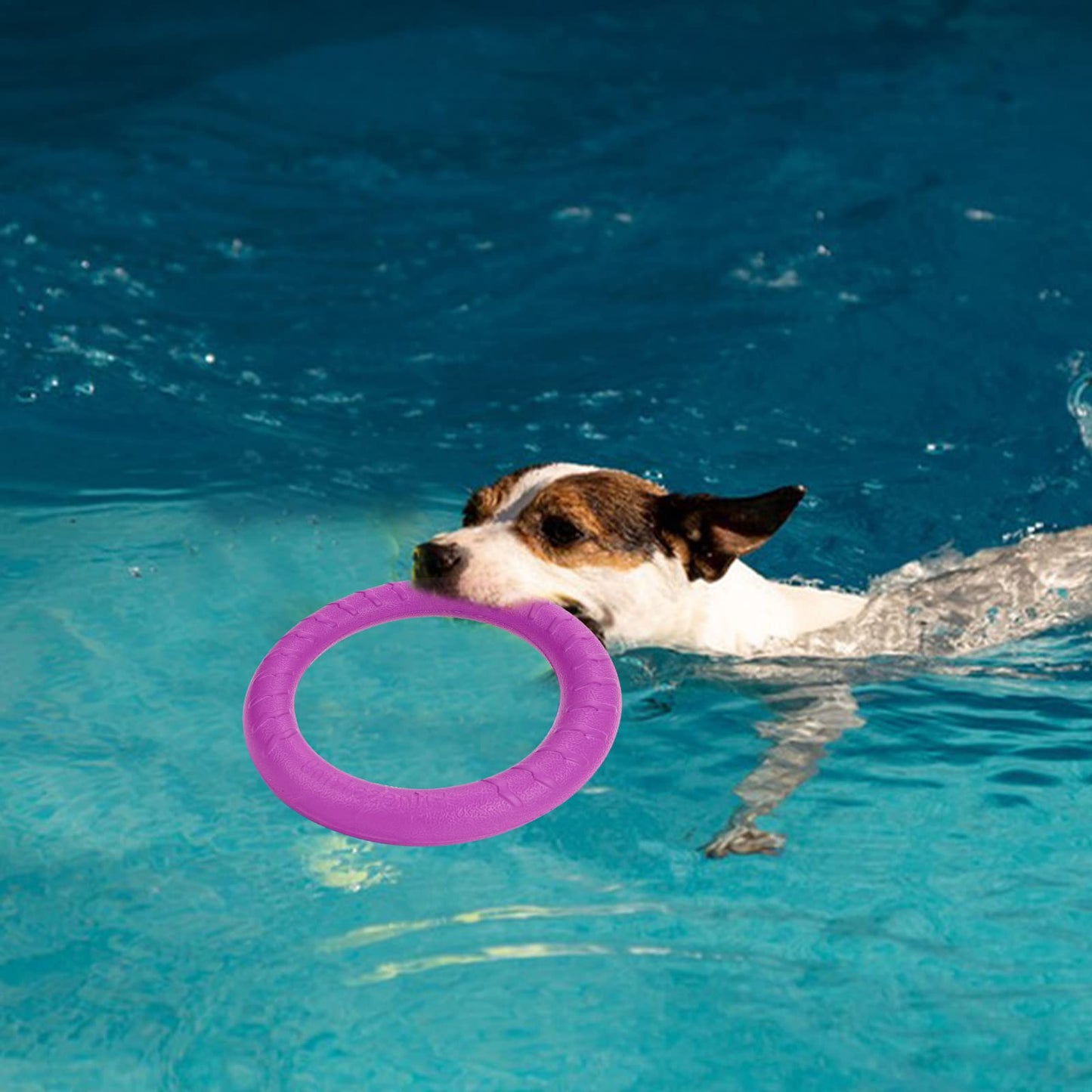 Frisbees para Perros Flotador para Perros Interactivo Duradero Anillo de Fitness para Perros Ejercicio Equipos de Agilidad para Perros para Perros Pequeños Medianos y Grandes