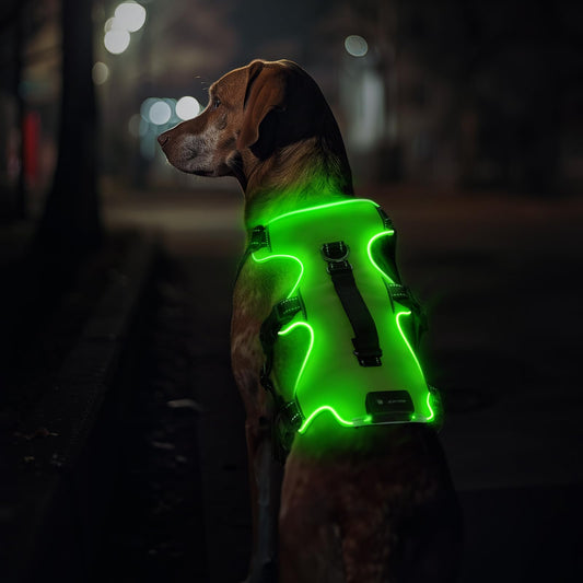 Arnés Recargable para Perro Iluminado, Arnés de 3 Puntos para Perros Medianos y Grandes, Recargable con 4 Correas Ajustables, 3 Modos, Impermeable para Caminar por la Noche, Lluvia, Verde-L