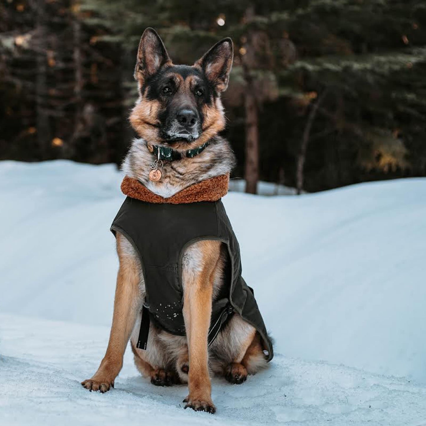 Abrigos para Perros Impermeable,Abrigo Perro para Perros medianos y Grandes, cálida Chaqueta Perro de Invierno con Hebilla Ajustable,3XL