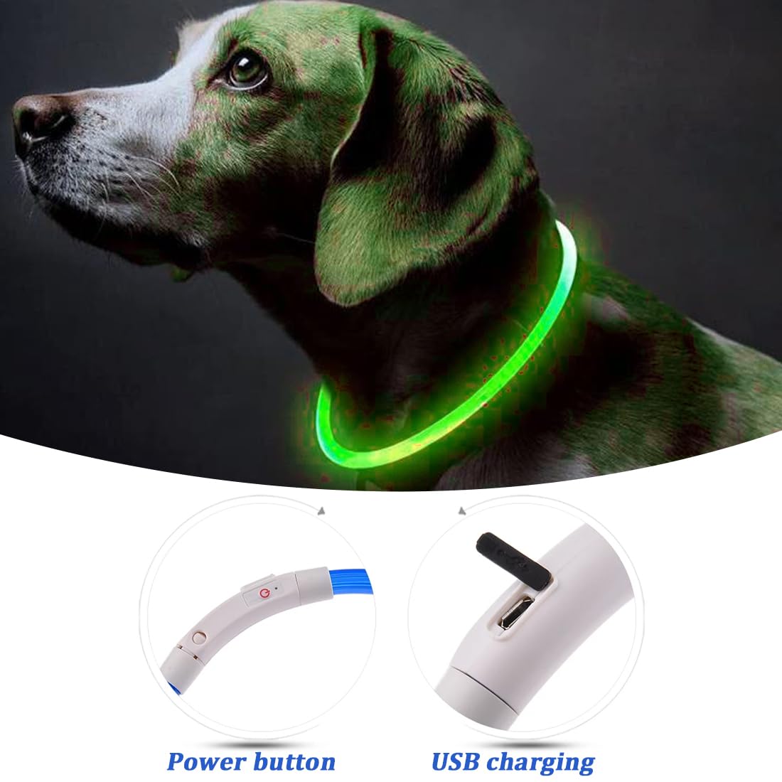 Collar Luminoso Perro,2 Piezas Collar LED Recargable por USB Tamaño Ajustable, Collar Impermeable de Seguridad, Reutilizable para Perros Pequeños Medianos Y Grandes (Verde + Azul)