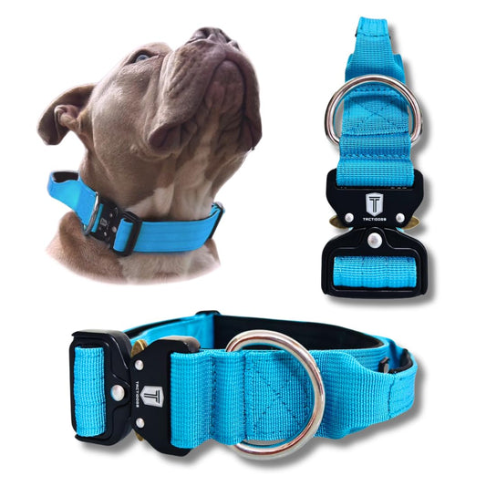 Collar Táctico para Perro Mediano y Grande - Acolchado con asa, Hebilla de Liberación Rápida y Ancho Antiahogamiento - Collar de Entrenamiento para Todo Tipo de Perros - Azul M