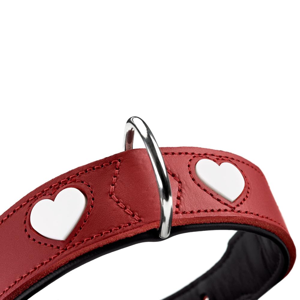 Collar para Perro Hunter Love M 41-49 cm Rojo