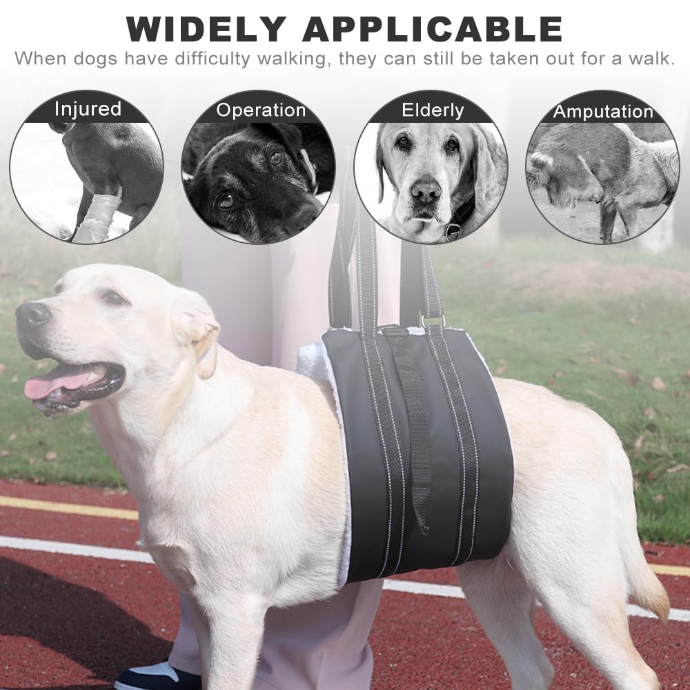 Arnés para Perro Discapacitado, Caminata con Apoyo, Diseño de Hebilla portátil Trasero Mejorado, Cuero PU Impermeable y Que Repele La Suciedad y Material Suave y Esponjoso (M)