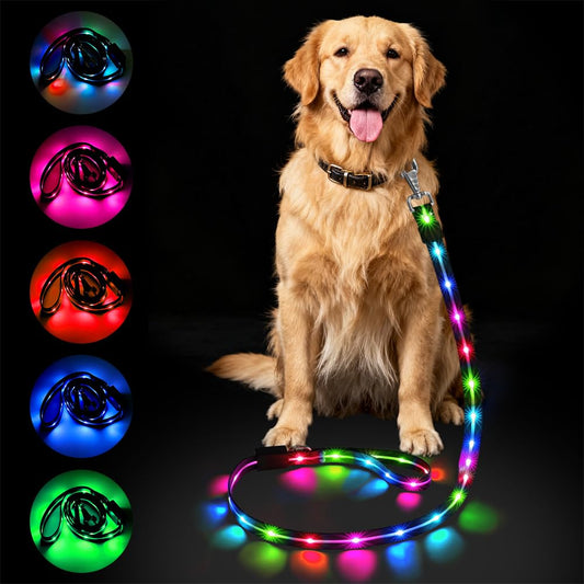 Correa led para Perros 1.2 M, Correa Reflectante Recargable, con 12 Modos Luz, Recargable USB, Ideal para Paseos Nocturnos con Mascotas Grandes Medianas Pequeñas