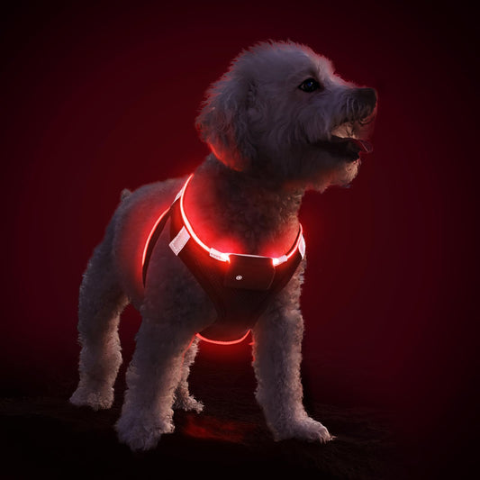 Arnés Luminoso para Perros Pequeño, Cómoda ArnéS LED Perro Recargable 3 Modos Arnés Perro Luz Reflectante para Mascotas Pequeñas, Negro Rojo-L