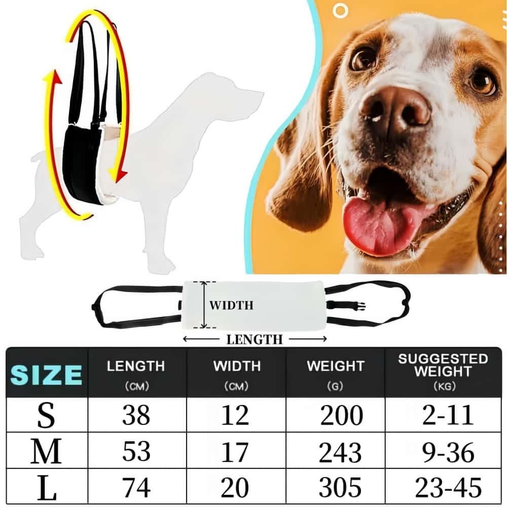 Arnés para Perro Discapacitado, Caminata con Apoyo, Diseño de Hebilla portátil Trasero Mejorado, Cuero PU Impermeable y Que Repele La Suciedad y Material Suave y Esponjoso (M)
