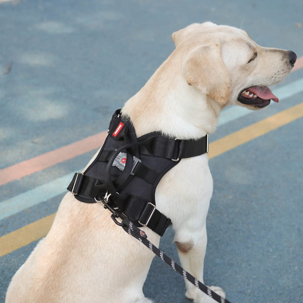 Arnés para perros con luz LED, cómodo y ajustable, seguro para caminar por la noche, arnés para perros con luz LED, arnés para perros grandes, para pasear por la noche