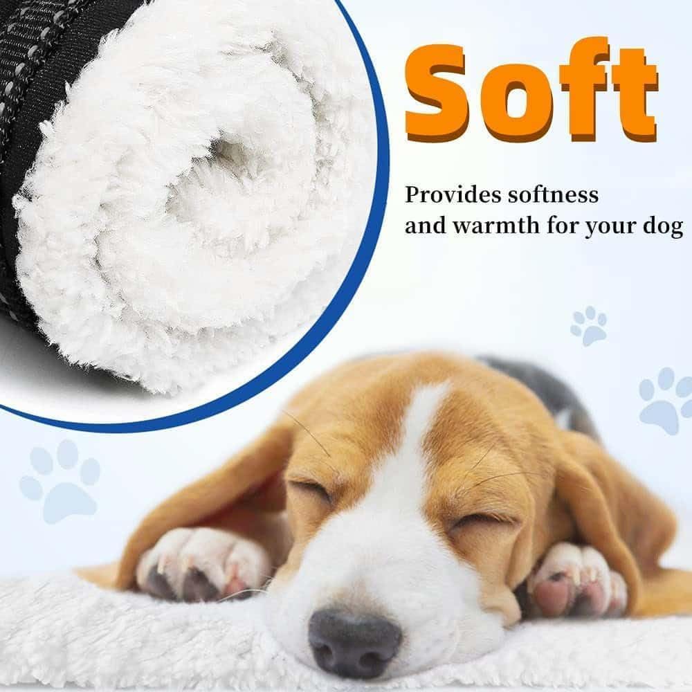 Arnés para Perro Discapacitado, Caminata con Apoyo, Diseño de Hebilla portátil Trasero Mejorado, Cuero PU Impermeable y Que Repele La Suciedad y Material Suave y Esponjoso (M)