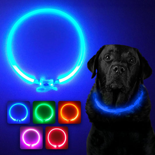 Collar LED para Perros en Azul - Collar de Seguridad para Perros y Gatos con Luz Intermitente Recargable por USB - Tamaño Pequeño, Mediano y Grande - Brilla en la Oscuridad para Mayor Seguridad