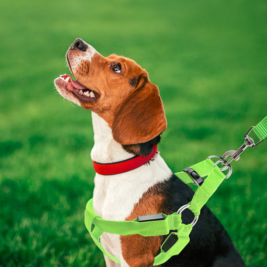 2 piezas Light Up Arnés para Perros Luminoso Recargable, Luminoso Arnés para Perros, Iluminado Recargable Para Paseo Nocturno Para Pequeños M