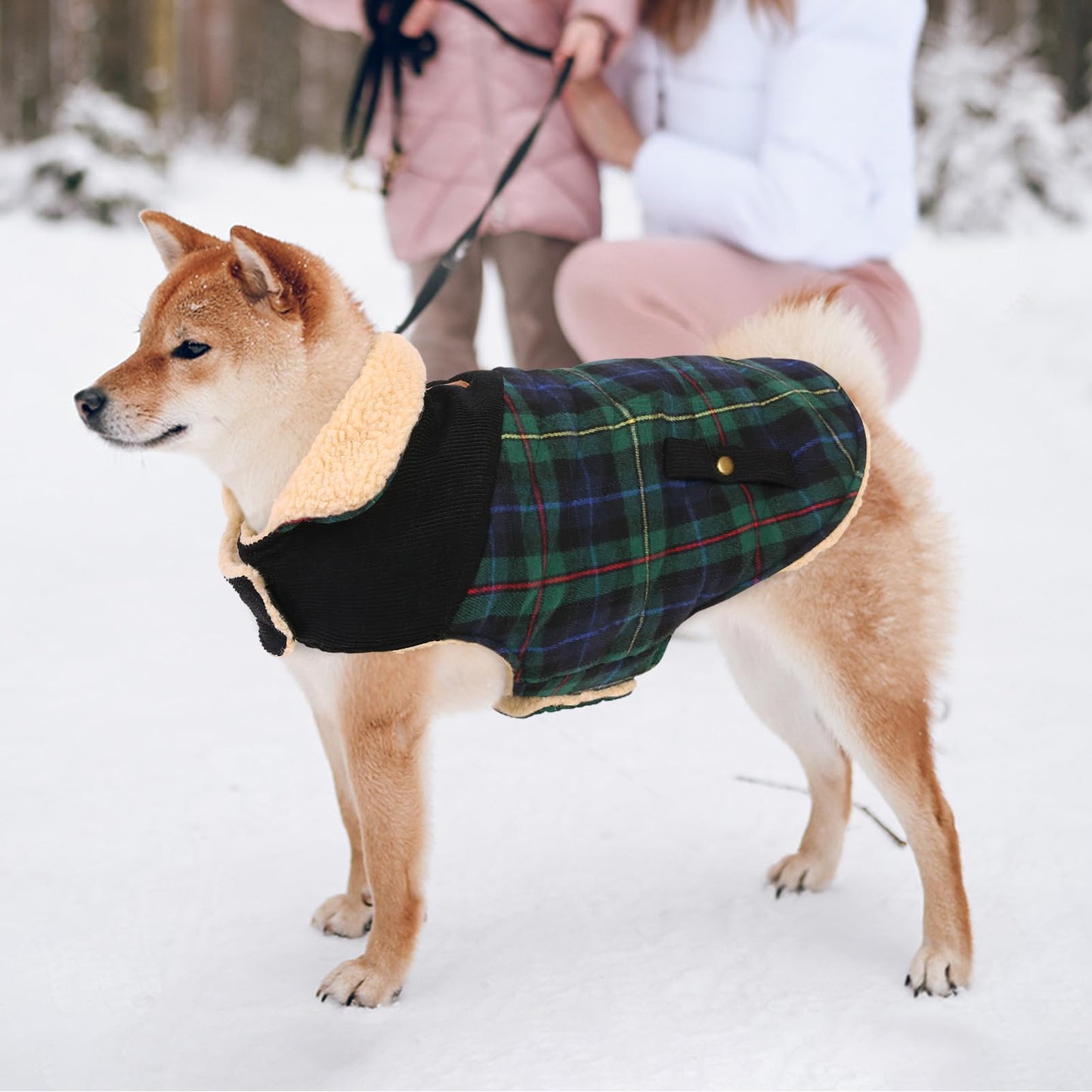 Abrigo para Perro Invierno - Chaleco Polar Grueso con Estampado Tartán, Ropa Cálida para Perros Pequeños/Medianos, Chaqueta Térmica Chihuahua o Teckel, Verde, XS