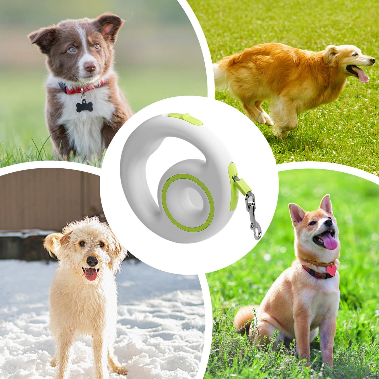 Correa Retráctil para Perros | Cuerda Extensible para Adiestramiento Y Paseos - Cuerda de Adiestramiento Antideslizante y Ergónomica, Resistente para Senderismo y Paseos Nocturnos