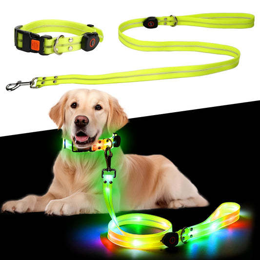 Collar Luminoso Perro de Mascota, Collar Perro Luz Impermeable con 3 Modos de Luz, Correa para Perros 1.2m, Collar Correa Perro LED Recargable por USB Tamaño Ajustable, para Perros Pequeños Medianos