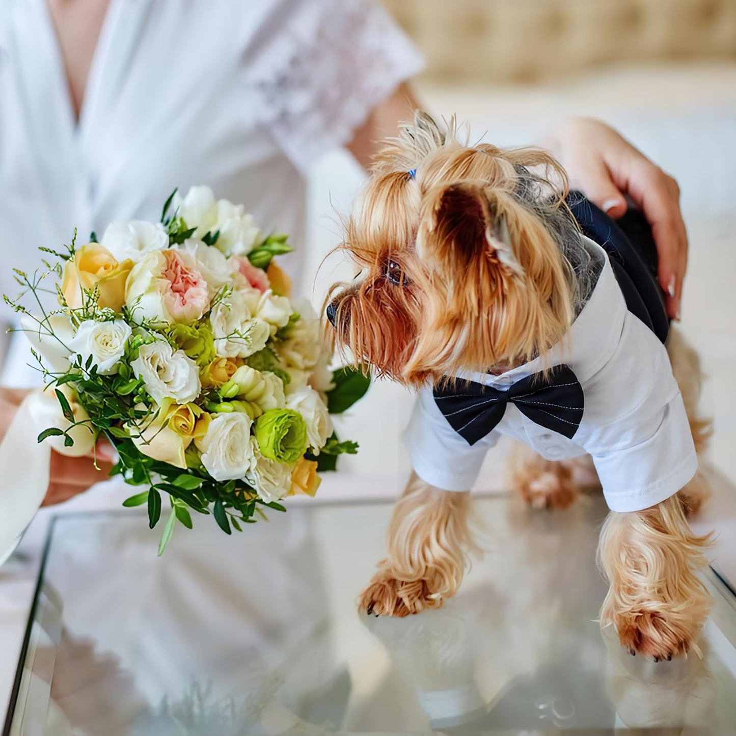 Disfraz Esmoquin Formal Perro, Ropa para Perros Pequeños, Traje de Corbatín de BodaPerro, Camisa de Caballero paraPerro, Disfraz Divertido de Halloween paraPerros, Traje para Mascotas (Large)