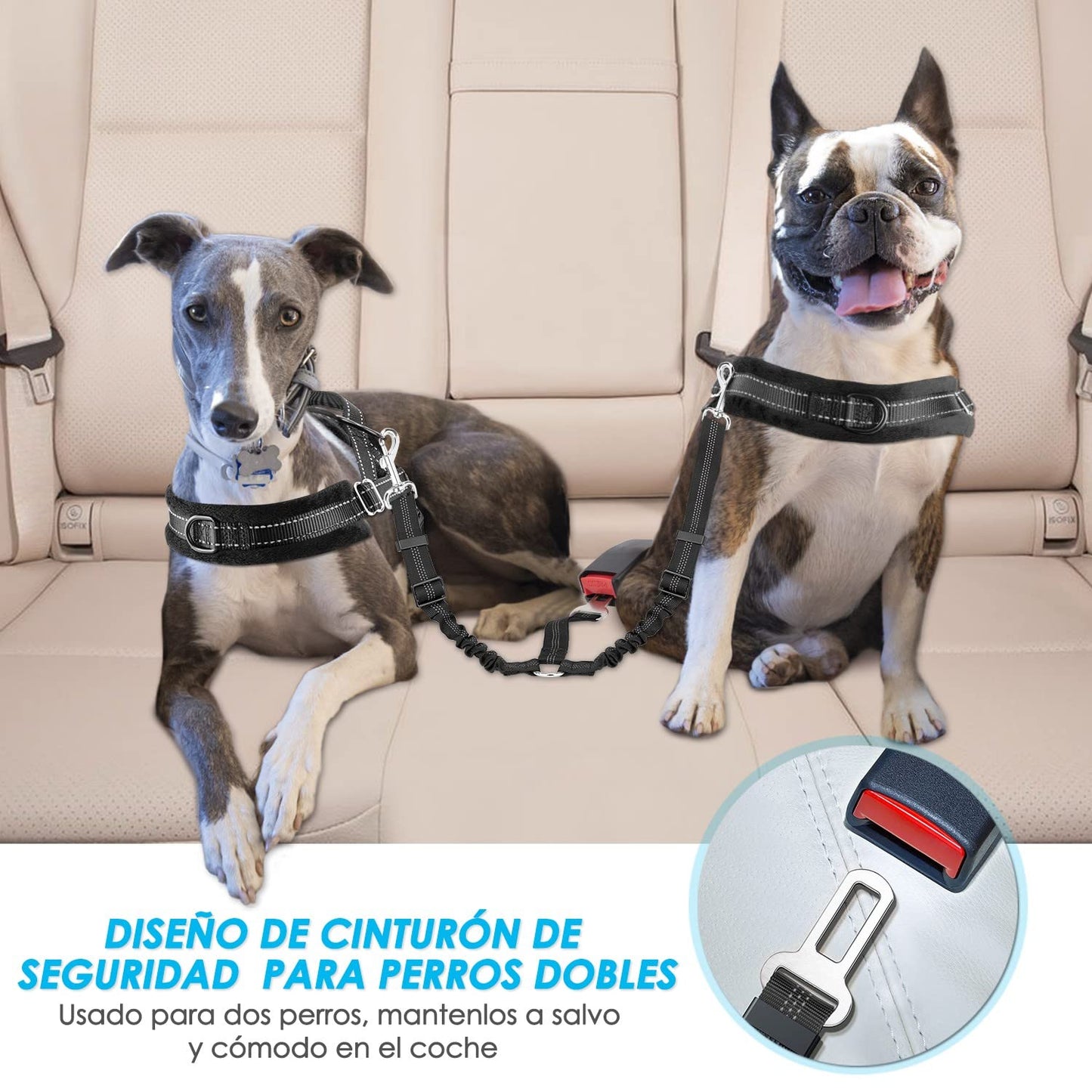 Cinturón de Seguridad Coche Perro, 2 Perros sin enredo Cinturón de Seguridad elástico Duradero para el Coche, Ajustable Reflectante Seguro Doble Perro Coche arnés Divisor para Viajar