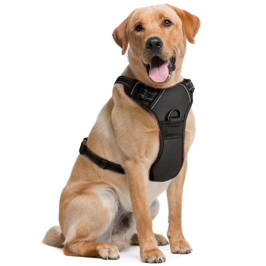 Arnés para Perros Grandes - Extragrande, Negro - Arnés para Mascotas con diseño antitirones y Acolchado Suave para Correr y Hacer Senderismo - de EcoEarth