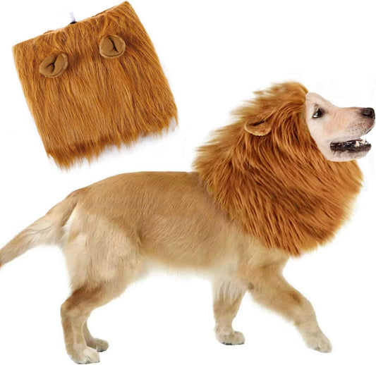 Disfraz Perro Halloween Y Carnaval. Disfraces para Perros Medianos O Grandes. Disfraz Mascota. Deja Que Tu Fiel Amigo Hechice El Carnaval.