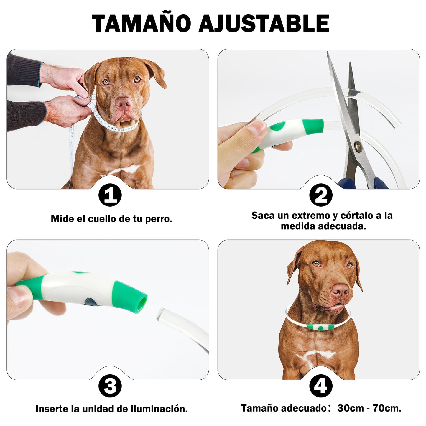 Collar Luminoso Perro Recargable - 3 Modos Collar Perro Luz con Impermeable, Ajustable Collares LED para Perros Pequeños/Medianos/Grandes, Verde