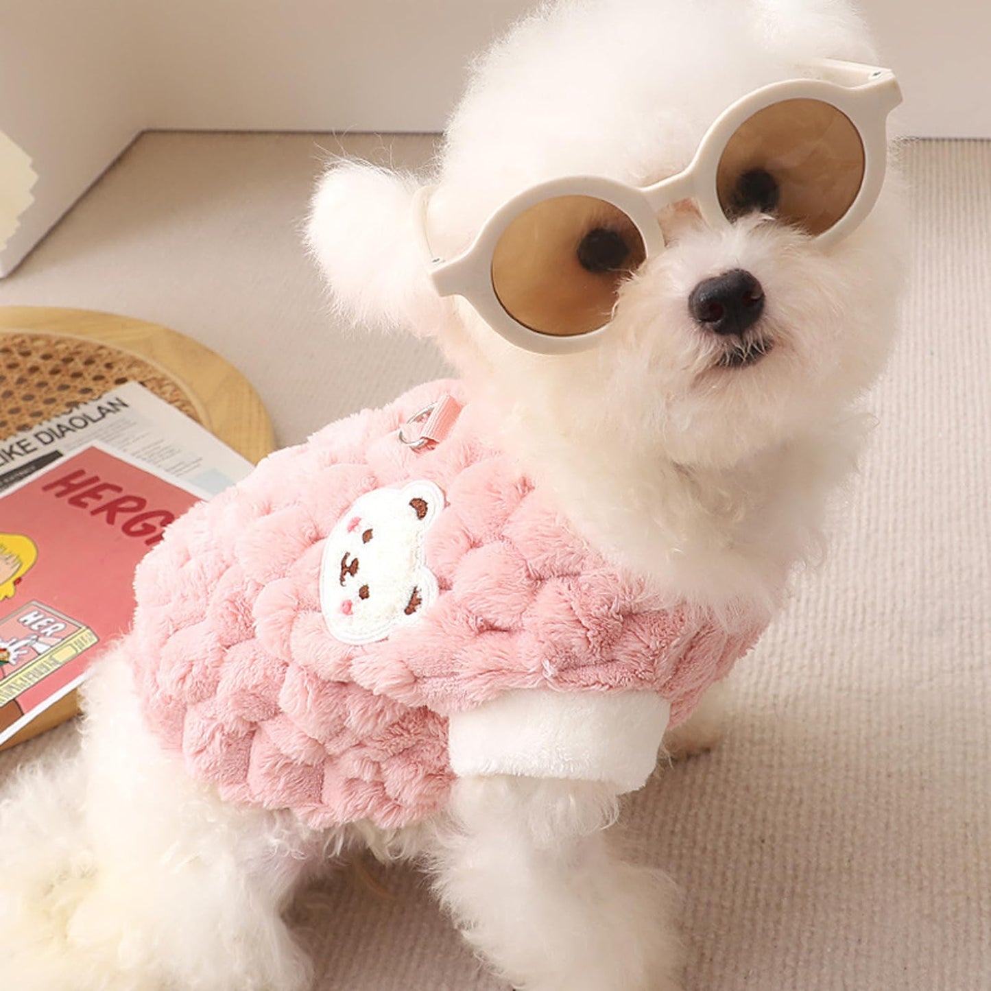 Abrigo 2 Piezas Jersey Para Perro Pequeño, Felpa Caliente en Invierno, Lindo y Suave Ropa Cómoda Para Perros y Gatos (Rosa, Azul)