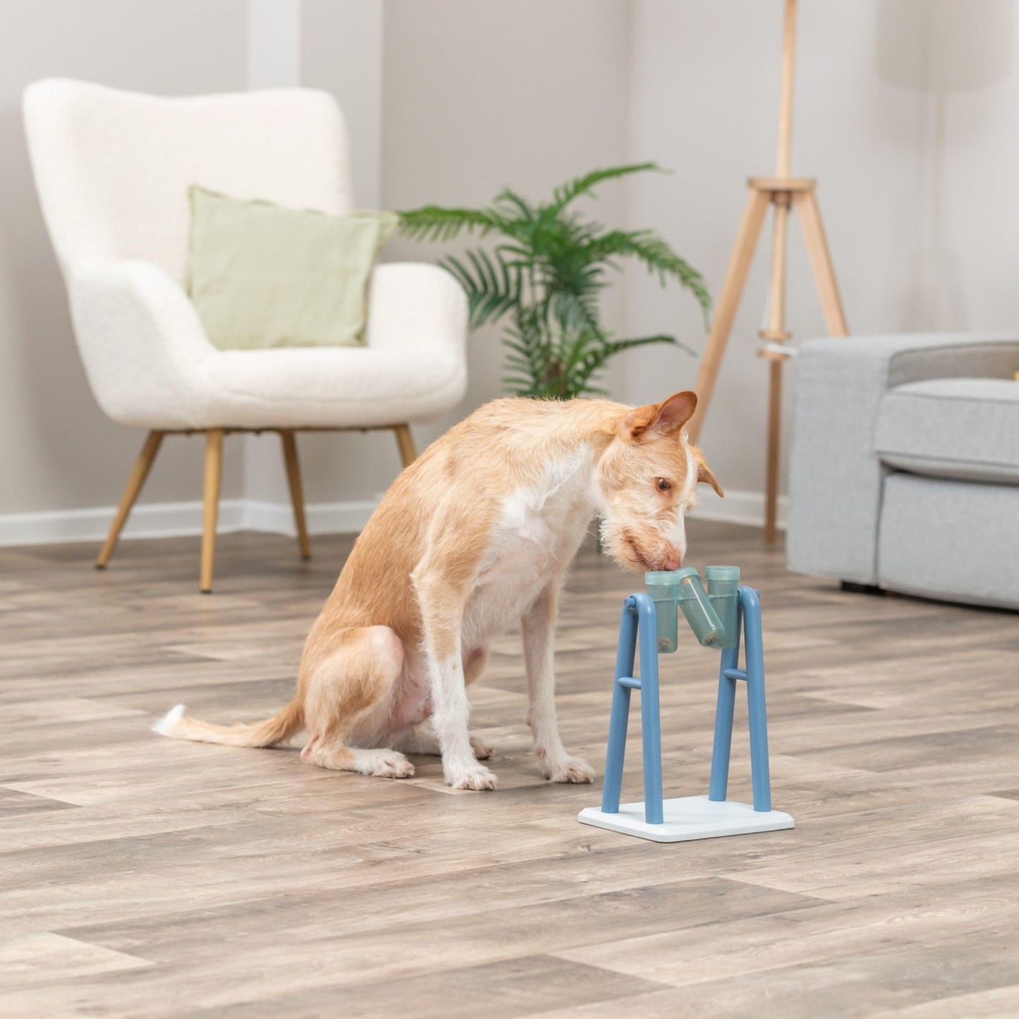 TRIXIE Dog Activity Juego Interactivo - Juguete para Perros Accesorios para Perros Dog Activity Turn Around 22x33x18 cm Nivel 2