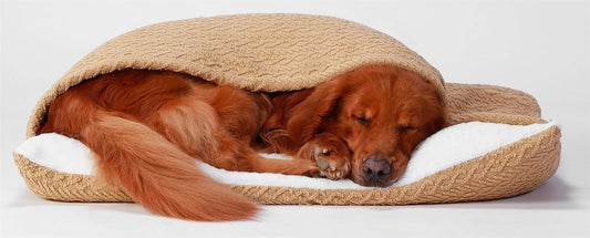 Cama Perro con Manta, Cama Ortopédica Perro/Gato con Capucha Manta, Sacos de Dormir del Perro Extraíble para Mascotas Pequeñas y Medianas, Lavable(Beige,50 * 40 * 18 cm)