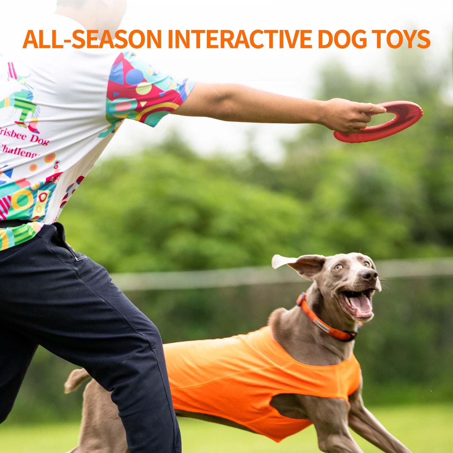 Frisbee Juguetes interactivos de disco volador para perros, flota en el agua y es seguro en los dientes, juguetes de playa para jugar y hacer ejercicio al aire libre (rojo)