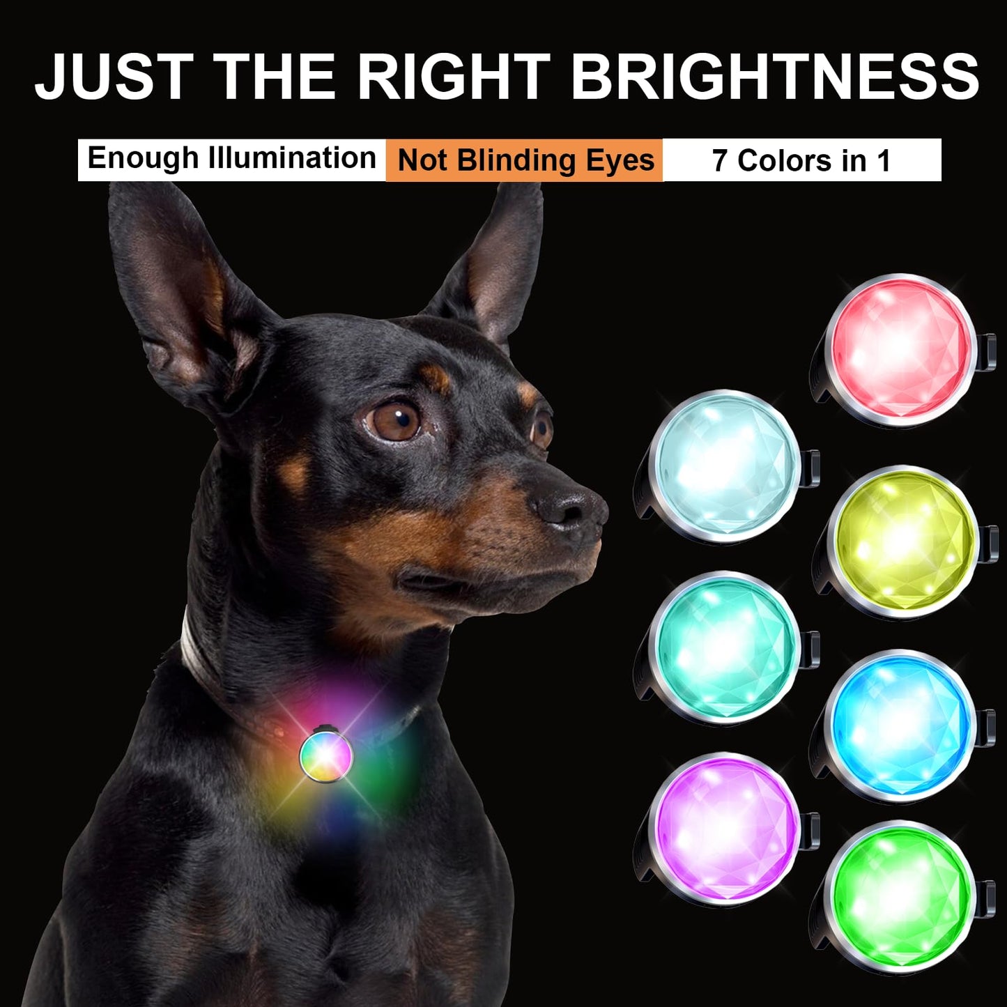 Tubasion Colgante de Luz USB-C Recargable para Collar de Perro - 7 Colores, Intermitente, Silicona, IP65 Impermeable - para Paseos Nocturnos