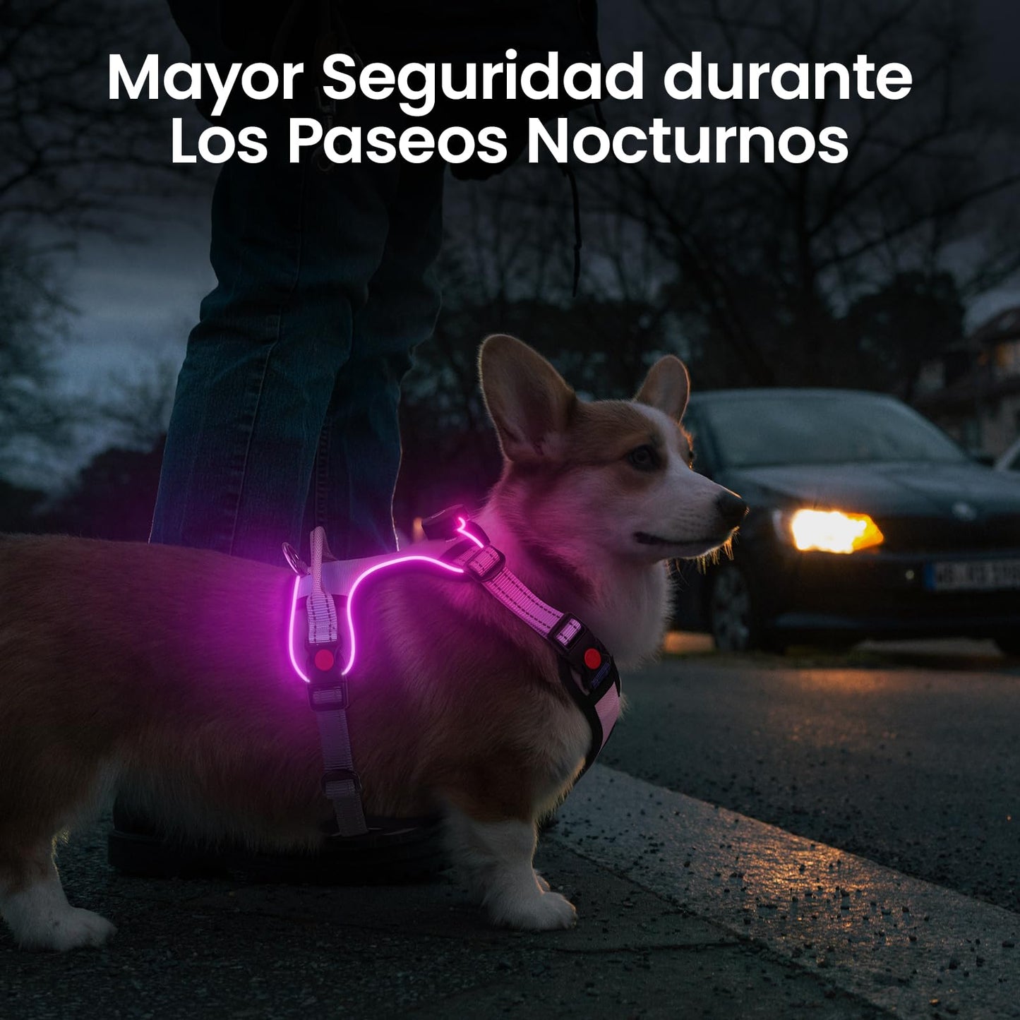 Arnés led de Perro Luminoso Talla M con Asa, Arnés Perro Ajustable con Luz Recargable 3 Modos de Iluminación, Bandas Reflectantes, Fácil de Poner para Perros Pequeños y Medianos