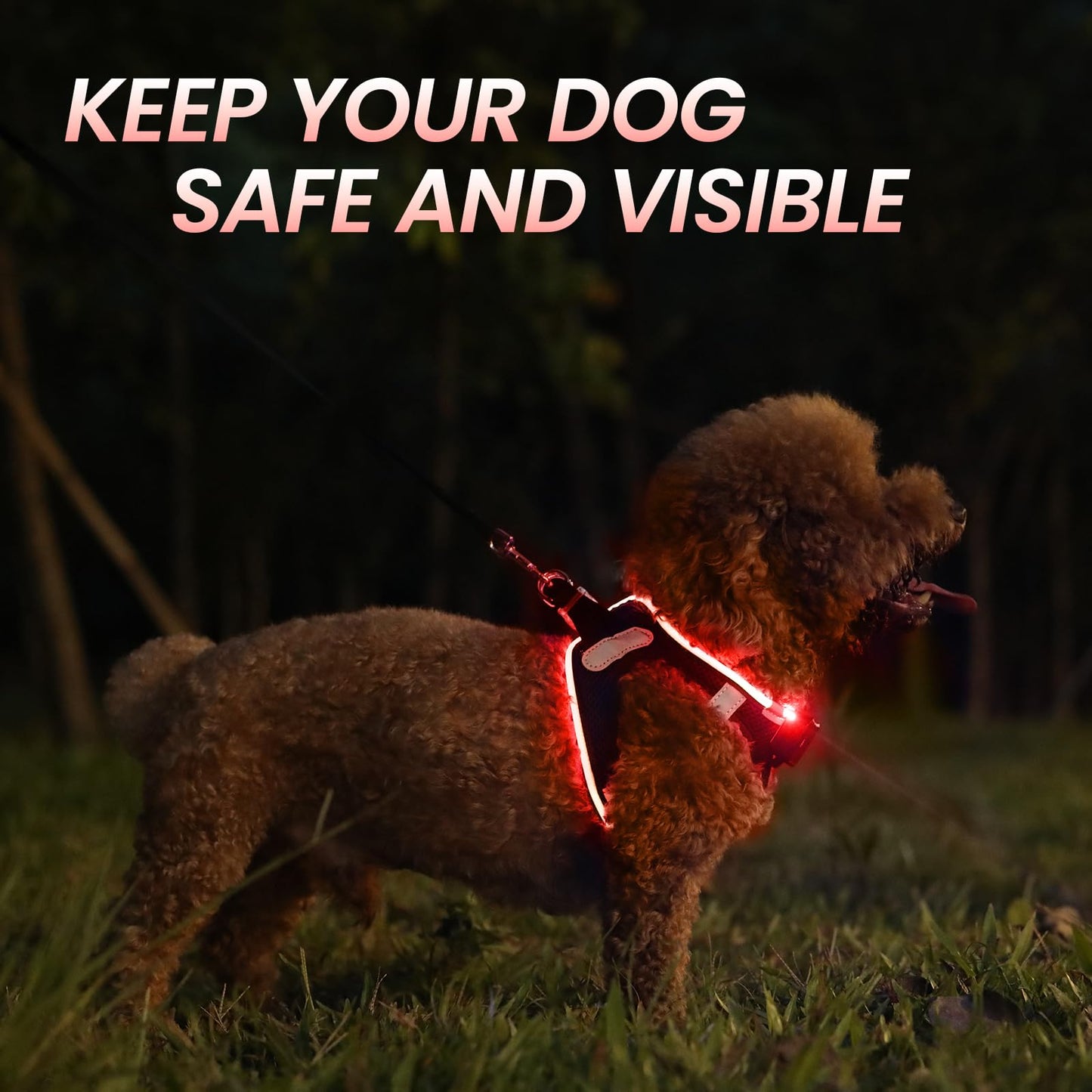 Arnés Luminoso para Perros Pequeño, Cómoda ArnéS LED Perro Recargable 3 Modos Arnés Perro Luz Reflectante para Mascotas Pequeñas, Negro Rojo-L