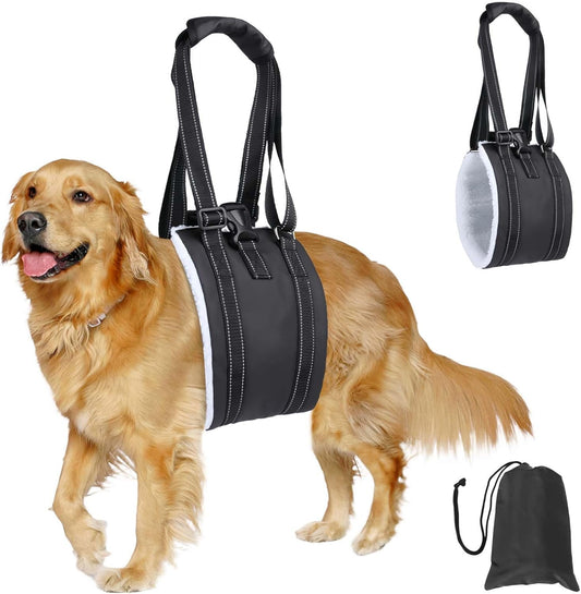 Arnés para Perro Discapacitado, Caminata con Apoyo, Diseño de Hebilla portátil Trasero Mejorado, Cuero PU Impermeable y Que Repele La Suciedad y Material Suave y Esponjoso (M)
