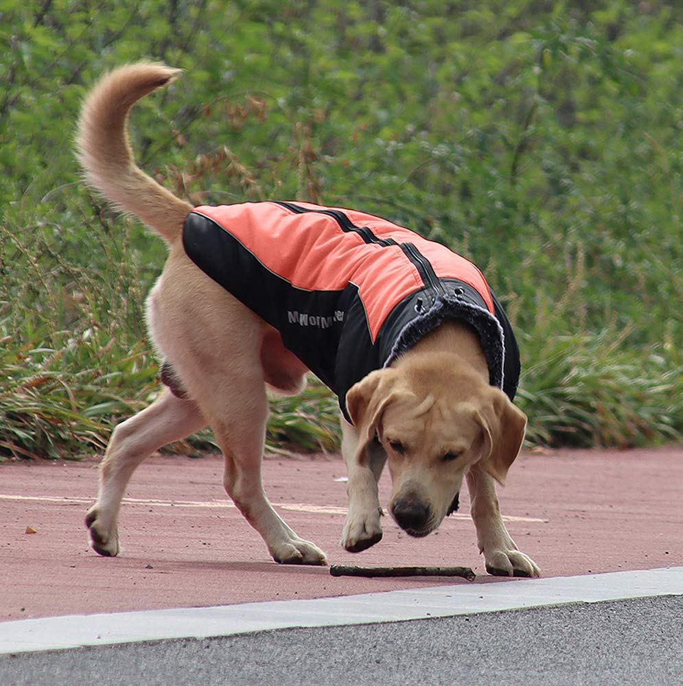Abrigo para Perros Chaqueta cálida, Traje de Nieve Reflectante para Mascotas Deportes al Aire Libre Ropa Impermeable para Perros Chaleco para Perros Mediano Grande con Orificio para el arnés