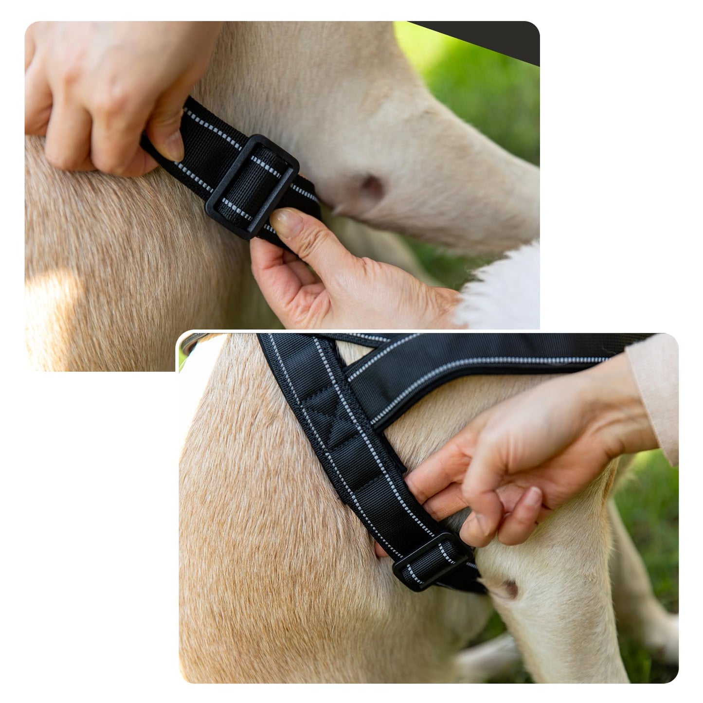 Arnés para Perros pequeños y medianos Reflectante, Ajustable, sin tirón, arnés para Perros
