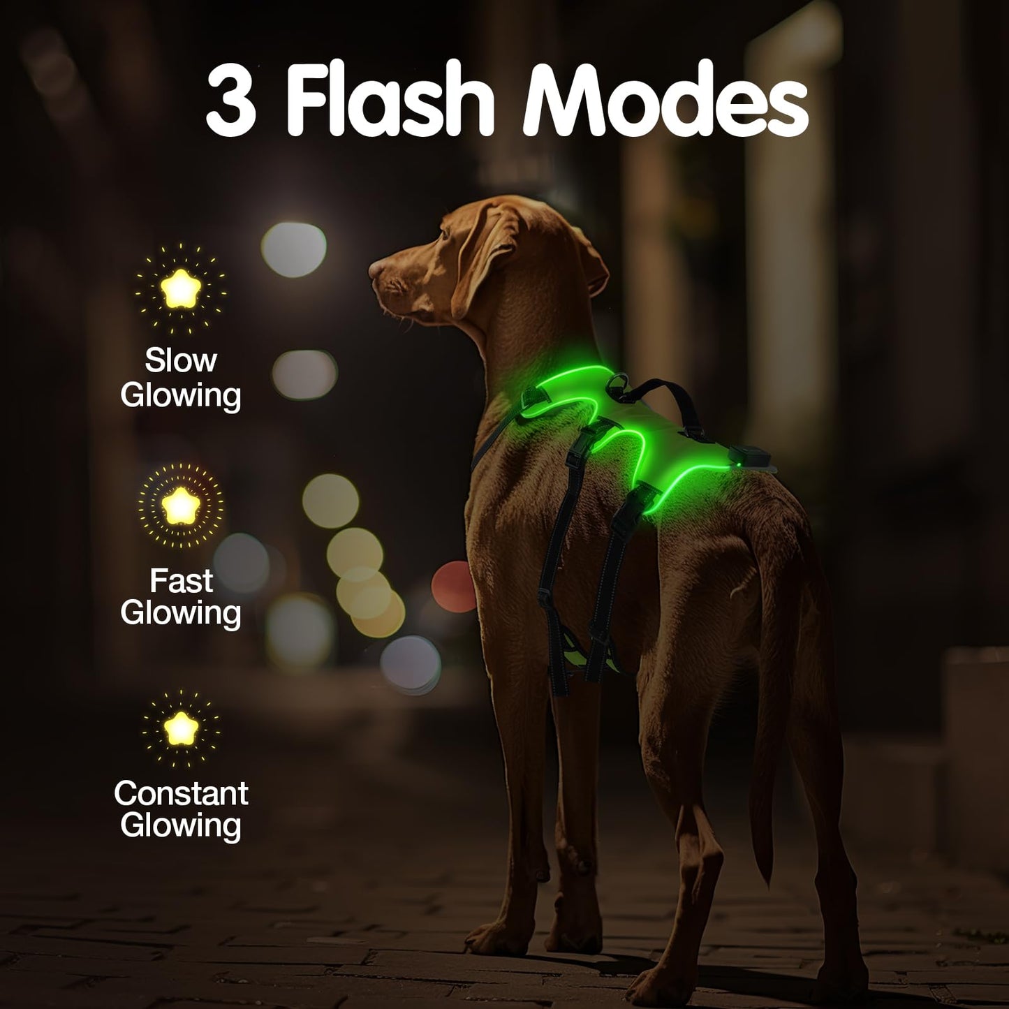 Arnés Recargable para Perro Iluminado, Arnés de 3 Puntos para Perros Medianos y Grandes, Recargable con 4 Correas Ajustables, 3 Modos, Impermeable para Caminar por la Noche, Lluvia, Verde-L