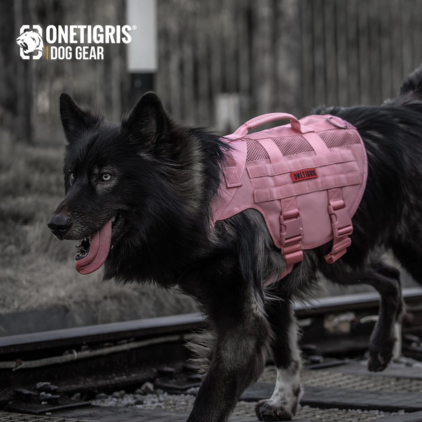 Arnés de seguridad ajustable ultra transpirable para perros grandes/medianos con 2 asas (M rosa)