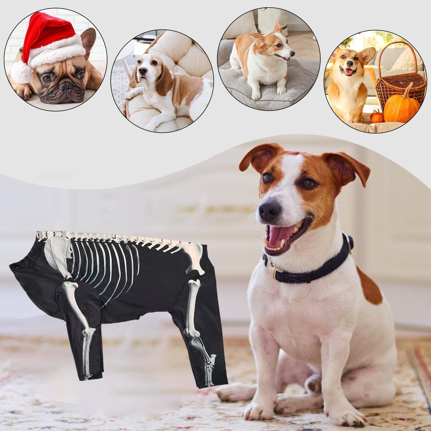 Disfraces De Halloween para Perros De Tamaño Grande,Disfraces De Esqueleto para Perros Halloween - Trajes Transpirables para Celebrar en Casa Fiestas Navideñas y Cosplay