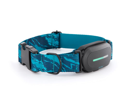 Kolyy Series 2 - Collar GPS para Perros Hecho en España - Localizador GPS Perros con Control vía App - Localización en Tiempo Real y sin Límite de Distancia –Control Actividad, Reposo, Paseos y Rutas