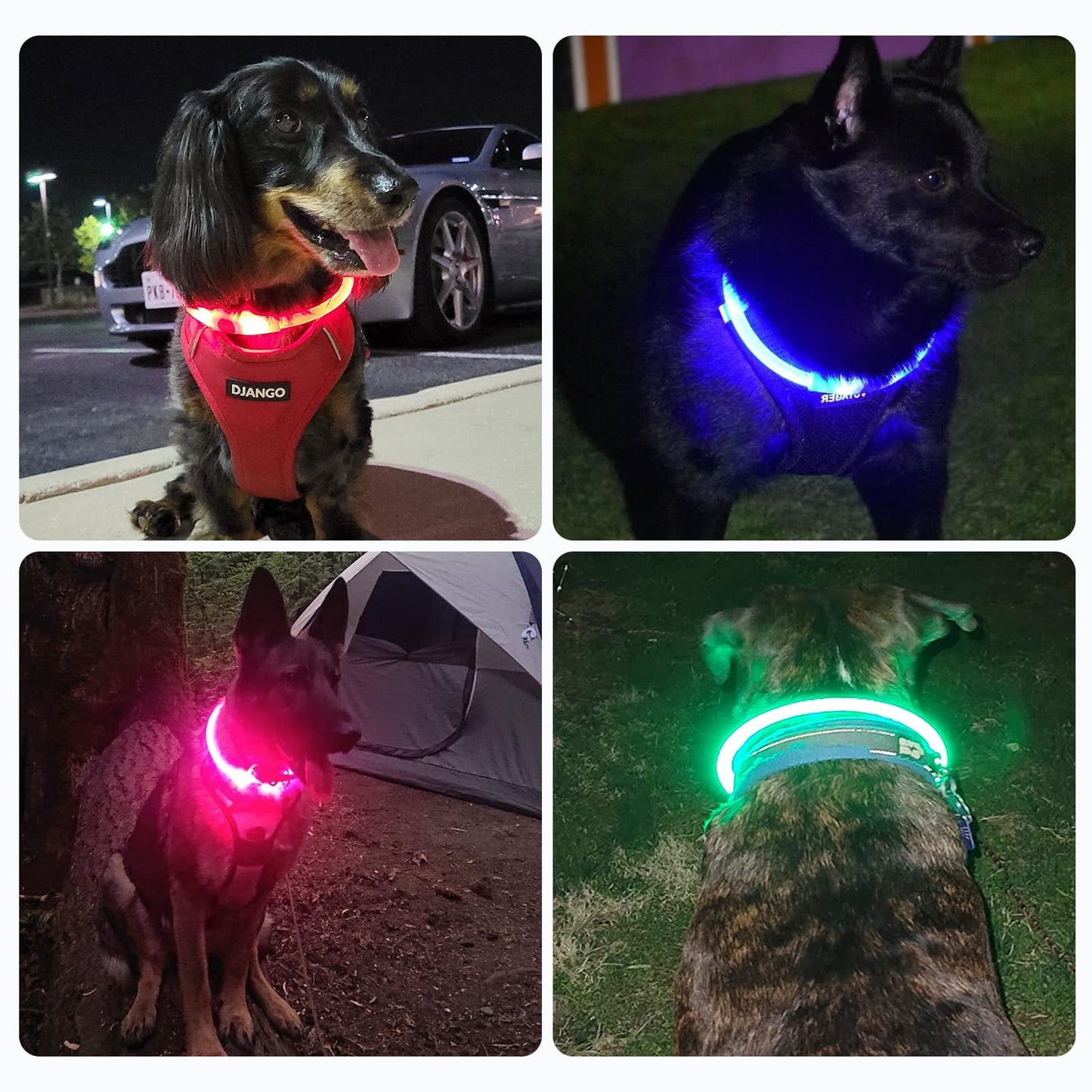 Collar Luminoso Perro Recargable - 3 Modos Collar Perro Luz con Impermeable, Ajustable Collares LED para Perros Pequeños/Medianos/Grandes, Verde