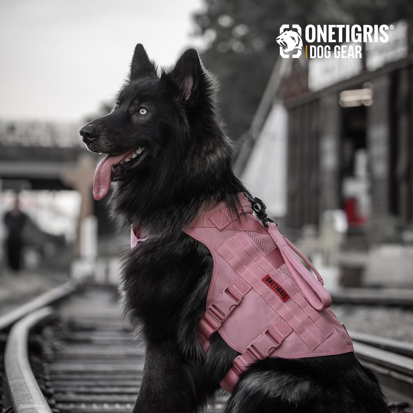 Arnés de seguridad ajustable ultra transpirable para perros grandes/medianos con 2 asas (M rosa)