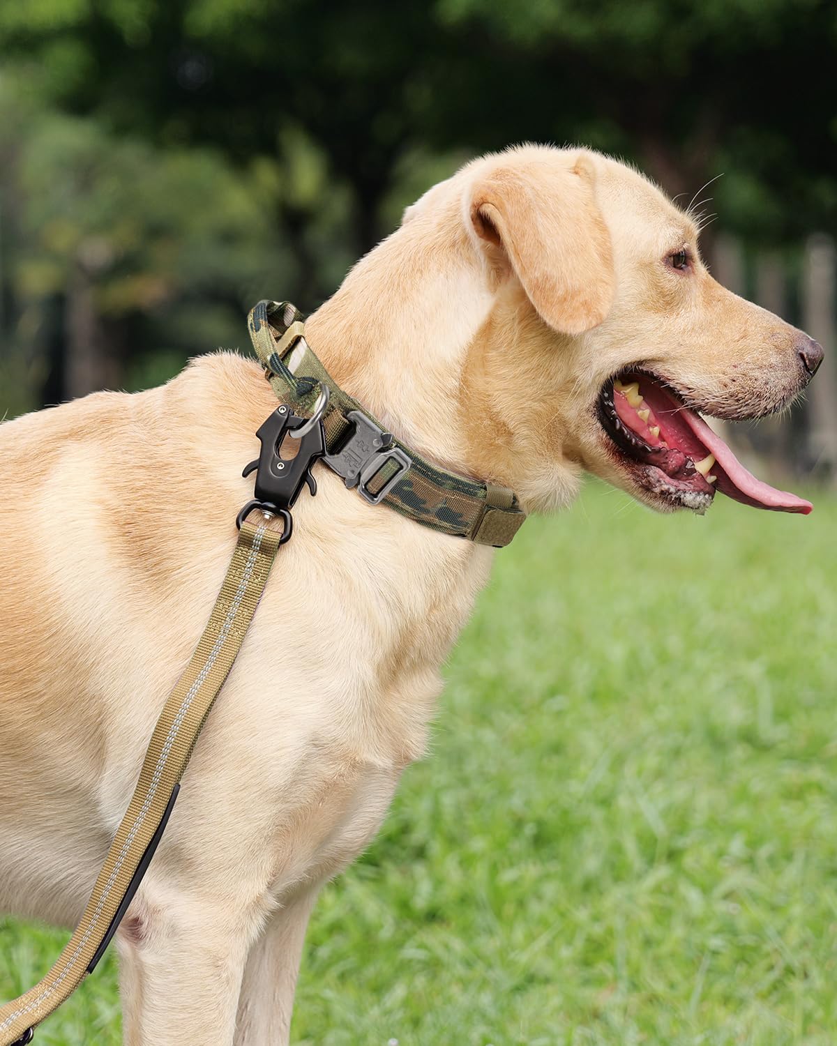 Collar Perro, Táctica Collar Perro Mediano con Mango de Control, Resistente Collares para Perros, Camuflaje, M