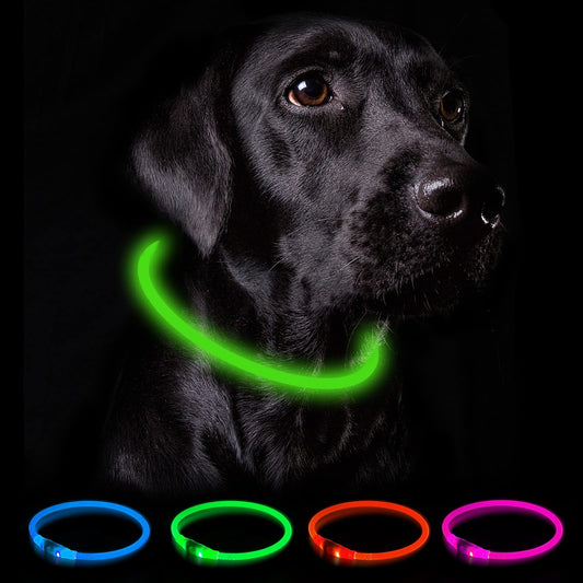 Collar Luminoso Perro Recargable - 3 Modos Collar Perro Luz con Impermeable, Ajustable Collares LED para Perros Pequeños/Medianos/Grandes, Verde
