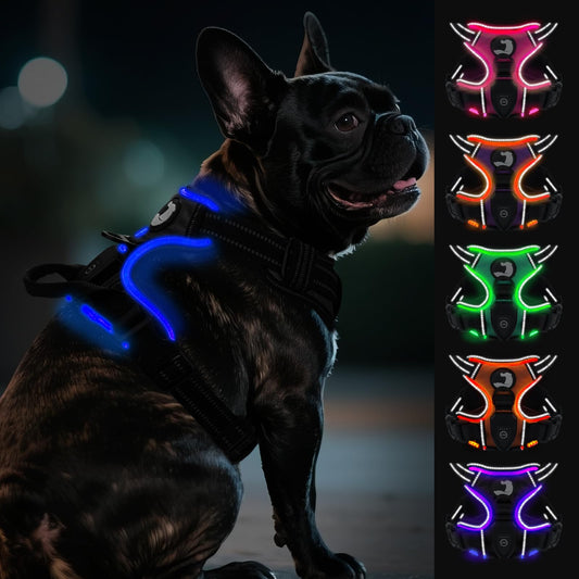 Arnés Luminoso Recargable para Pequeño Mediano y Grande, Arnés Reflectante LED sin Tirador con Asa Ajustable para Paseos Nocturnos, Negro-Azul, S